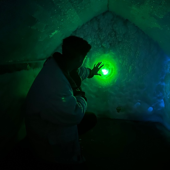 Meet your Posher, Tristan - Picture 4 of 14